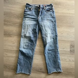 Anthropologie Pilcro Straight Leg Petite Jeans